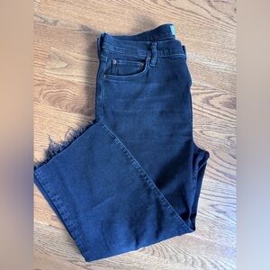 Agolde Harper Jean (25” inseam)